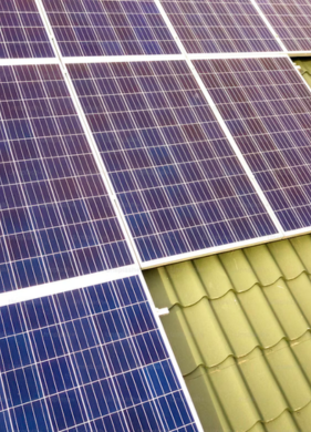 Untitled design 2026 01 16T144320.838